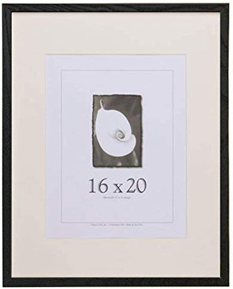 USA BLACK 16X20 FRAME