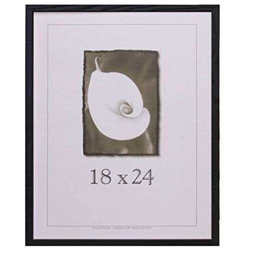 USA BLACK 18X24 FRAME