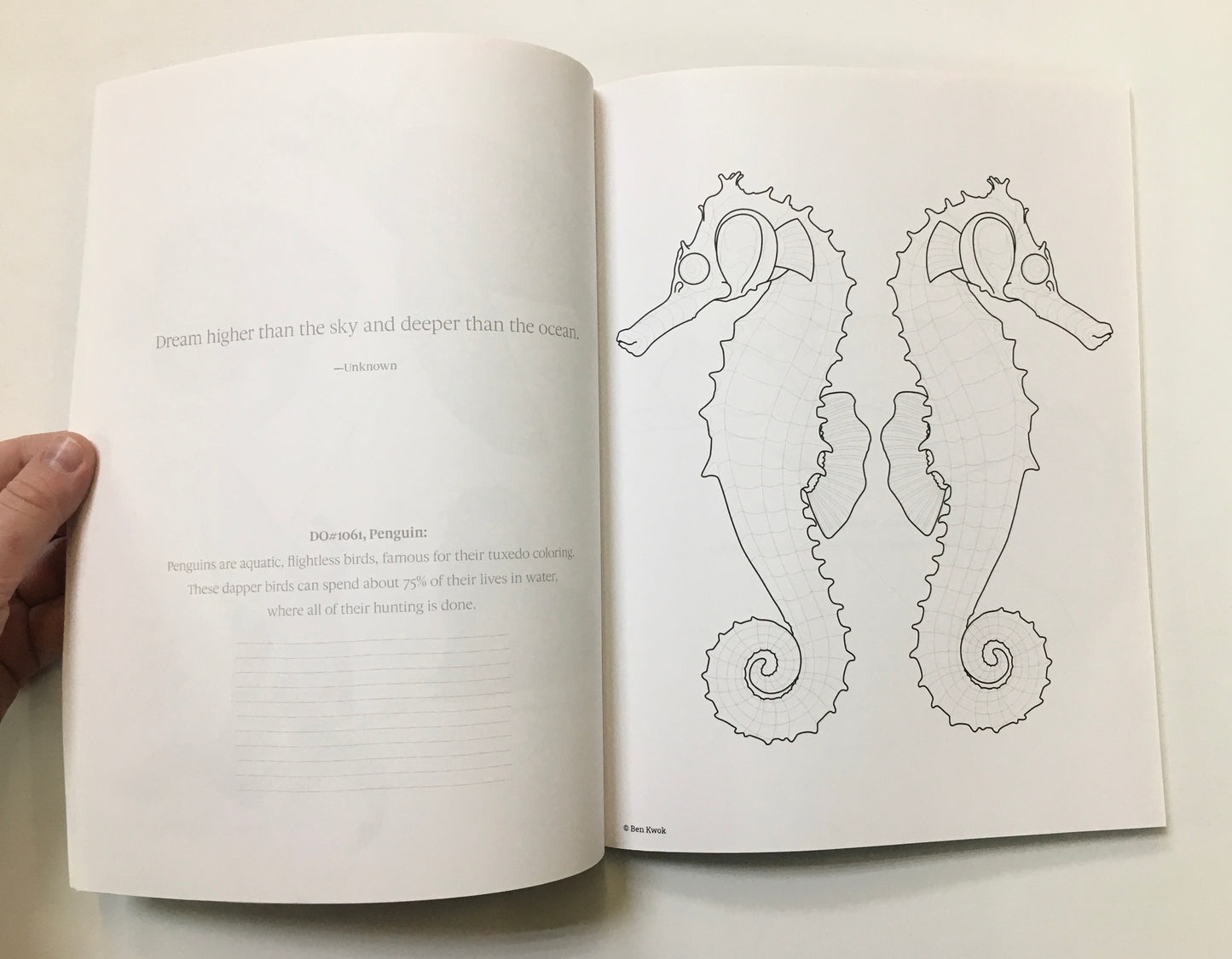 SEA LIFE ZENTANGLE COLORING BOOK