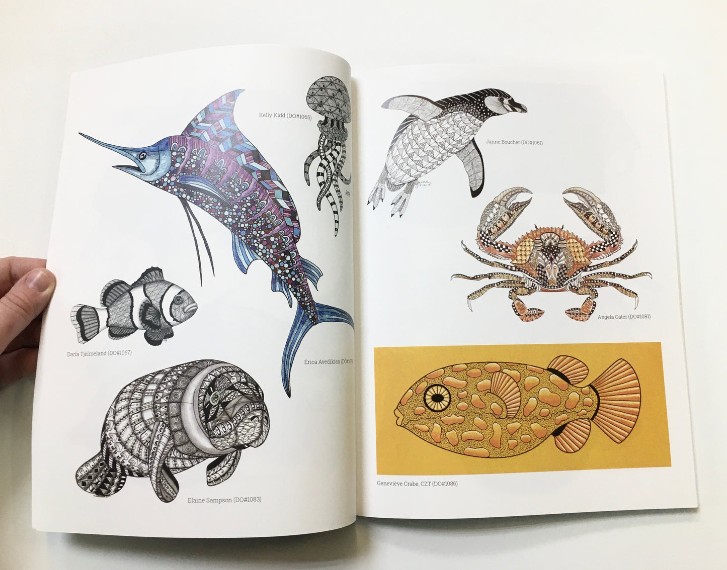 SEA LIFE ZENTANGLE COLORING BOOK