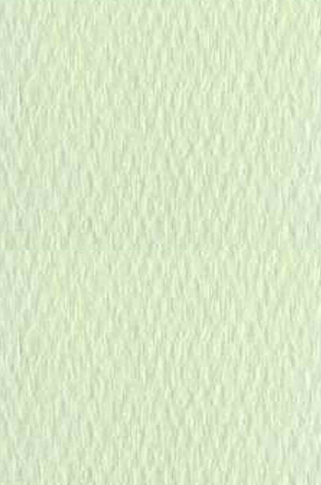 CANSON PAPER 100 LIME 19X25