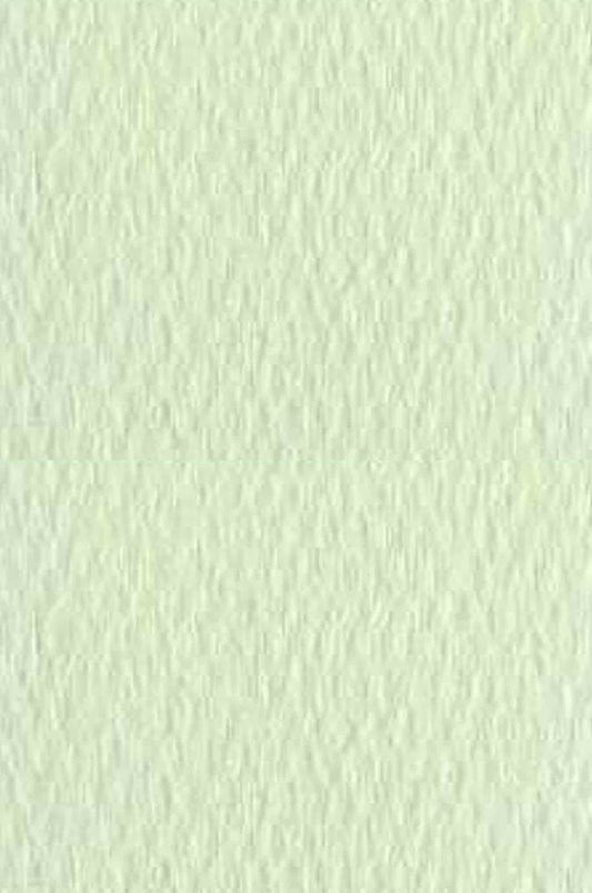 CANSON PAPER 100 LIME 19X25
