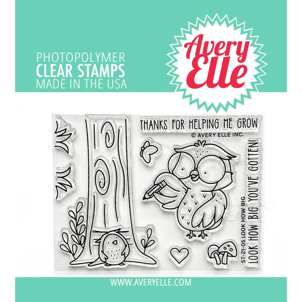 AE CLEAR LOOK HOW BIG STAMP SET