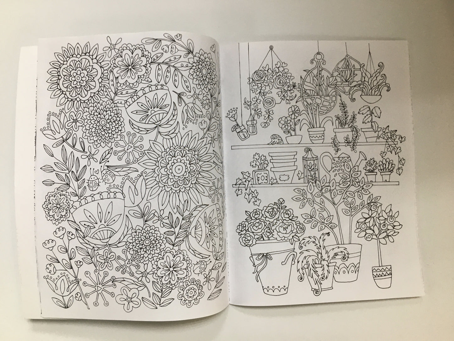 GARDEN FLOWERS COLORING BOOK