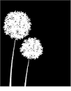 MB REVERSE ALLIUM WOOD STAMP