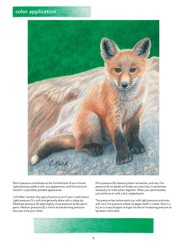 STRATH LEARN TO DRAW NATURE