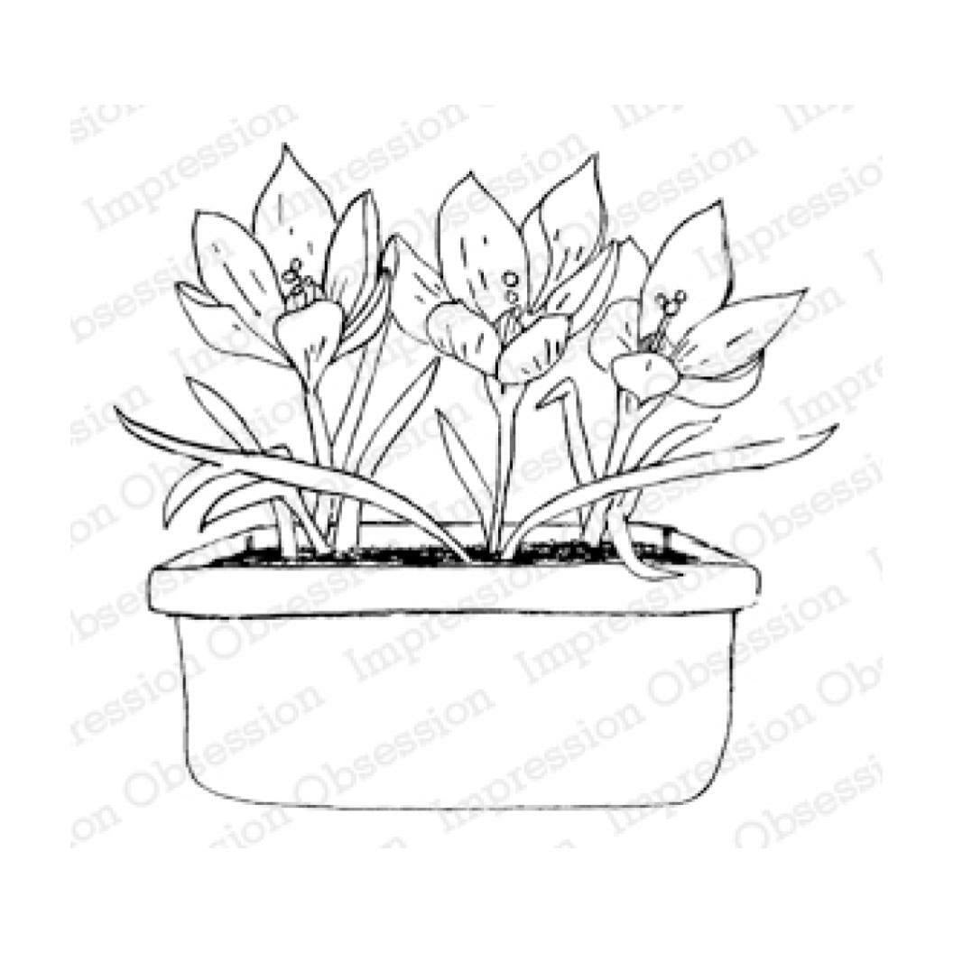 IO CROCUSES WOOD STAMP