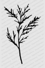 IO PRETTY PINE WOOD STAMP