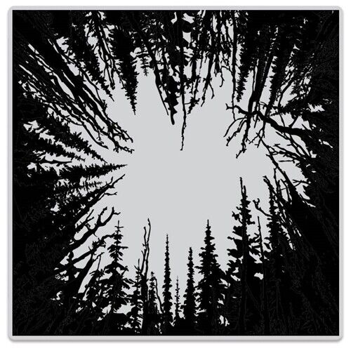 H A CLING CATHEDRAL OF TREES BOLD PRINTS