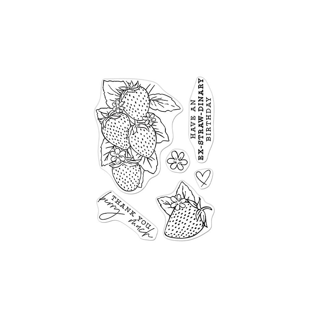 H A STRAWBERRY LINE ART CLEAR STAMP SET