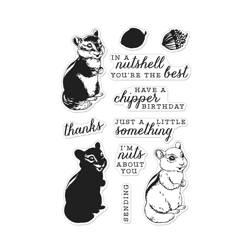 H A COLOR LAYERING CHIPMUNK CLEAR STAMP SET