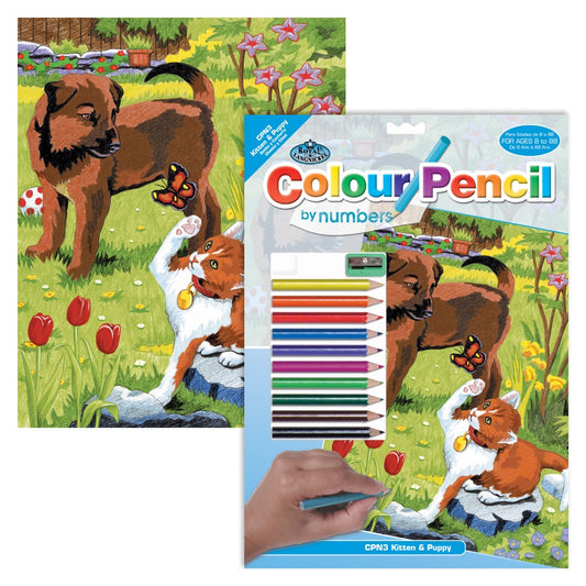 COLOR PENCIL BY NUMBER PUPPY & BUTTERFLY
