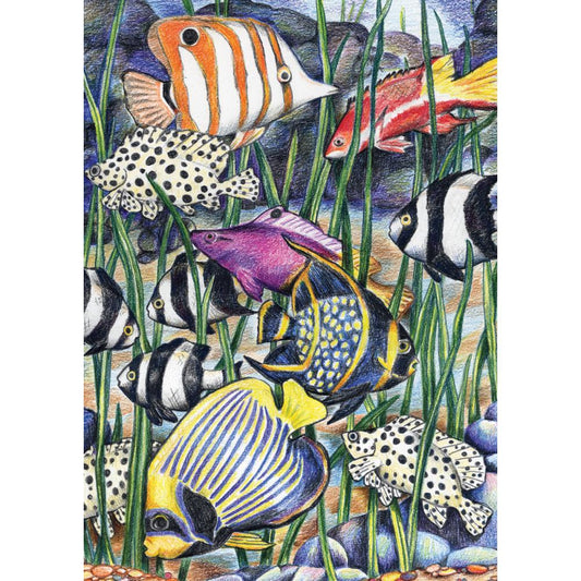 COLOR PENCIL BY NUMBER TROPICAL UNDERWATER LIFE